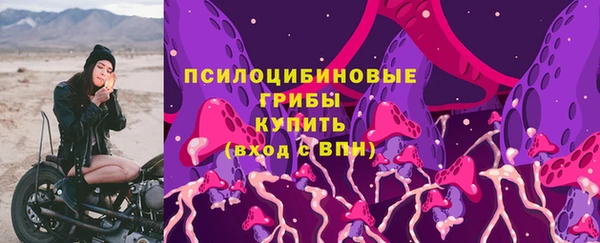 тгк Надым
